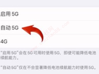 iphone12怎么设置5g-图5