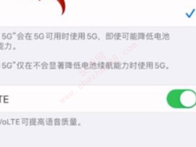 iphone12怎么设置5g-图4