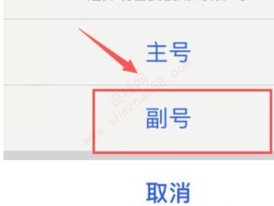 苹果怎么用副号发短信-图4