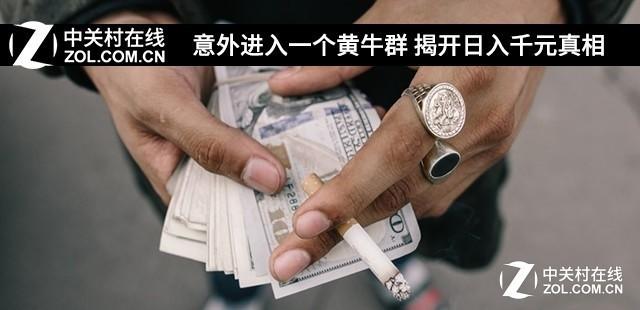 黄牛一词_黄牛的意思解释_黄牛是什么意思