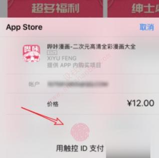 ios端怎么下picacg-图5