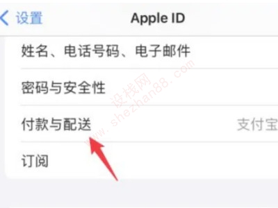 iphone支付设置在哪里设置-图2