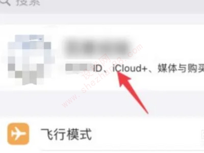 iphone支付设置在哪里设置-图1