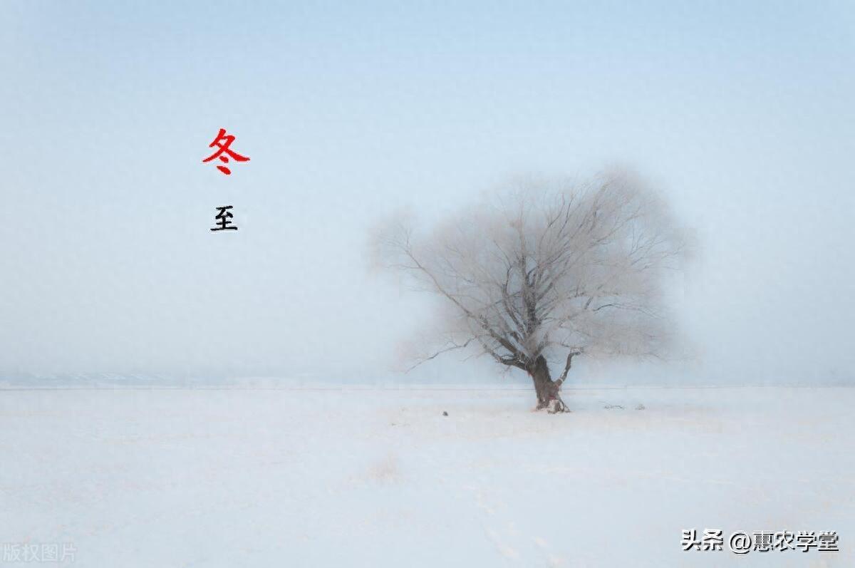 冬至是哪一天_冬至一天是多少个小时_冬至一天有几个小时