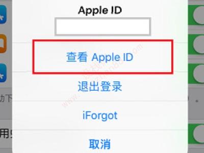 苹果app怎么设置中文版-图3