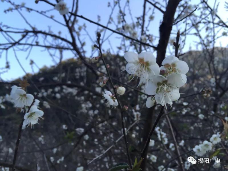 普宁是市还是区_普宁市属于哪个市_普宁市属于什么