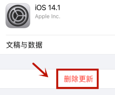 为什么iOS14更新包删不掉-图5