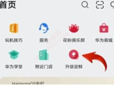 华为mate20怎么升级鸿蒙系统-图2