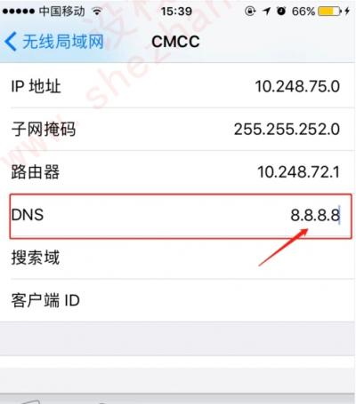 iphone国内最快的dns-图5