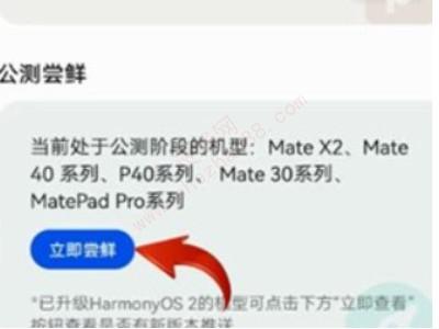 华为mate20怎么升级鸿蒙系统-图3