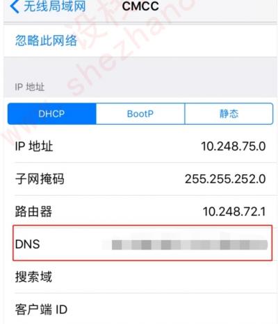 iphone国内最快的dns-图4