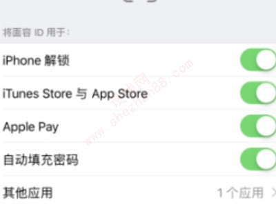 ios14.5面容用不了-图6