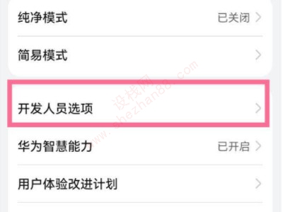 华为手机如何进入开发者选项-图3