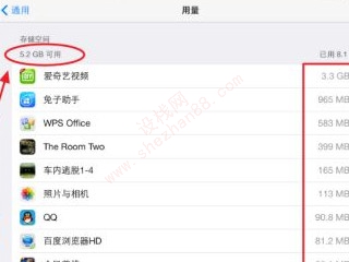 ipad内存在哪看-图5
