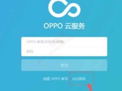 oppo云服务登录密码-图3