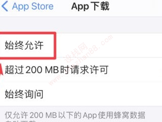 ios14如何用流量更新系统-图4