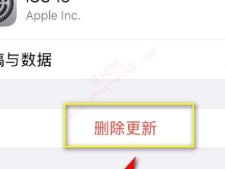 ios不更新去掉小红点-图5