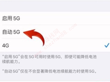 苹果5g和4g信号在哪里切换-图5