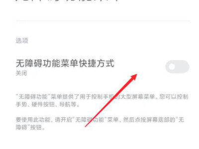 小米无障碍权限功能怎么开启-图4