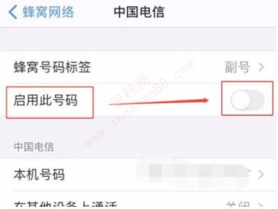 iphone双卡如何关闭一张卡的流量-图4