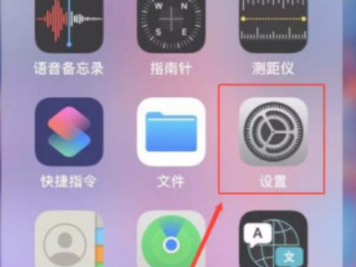 iphone双卡如何关闭一张卡的流量-图1