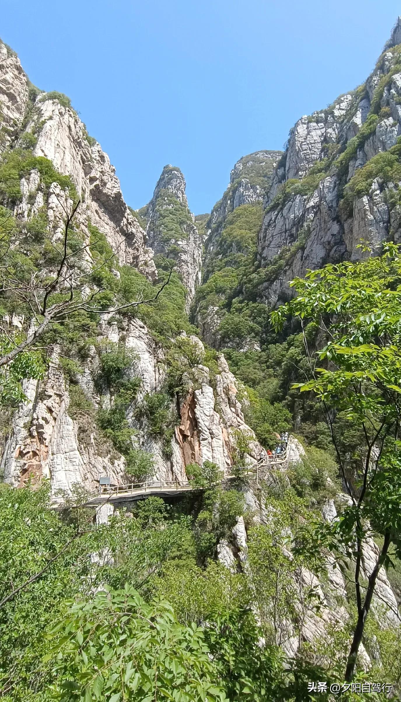 少林寺的门票_少林寺门票多少钱_少林寺门票钱归谁