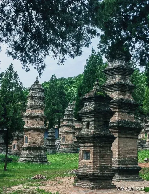 少林寺的门票_少林寺门票收入如何分配_少林寺门票多少钱