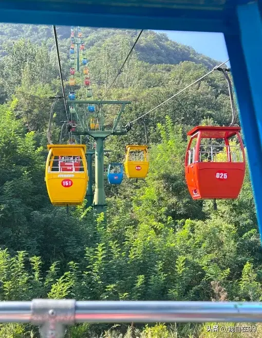 少林寺门票多少钱_少林寺的门票_少林寺门票收入如何分配