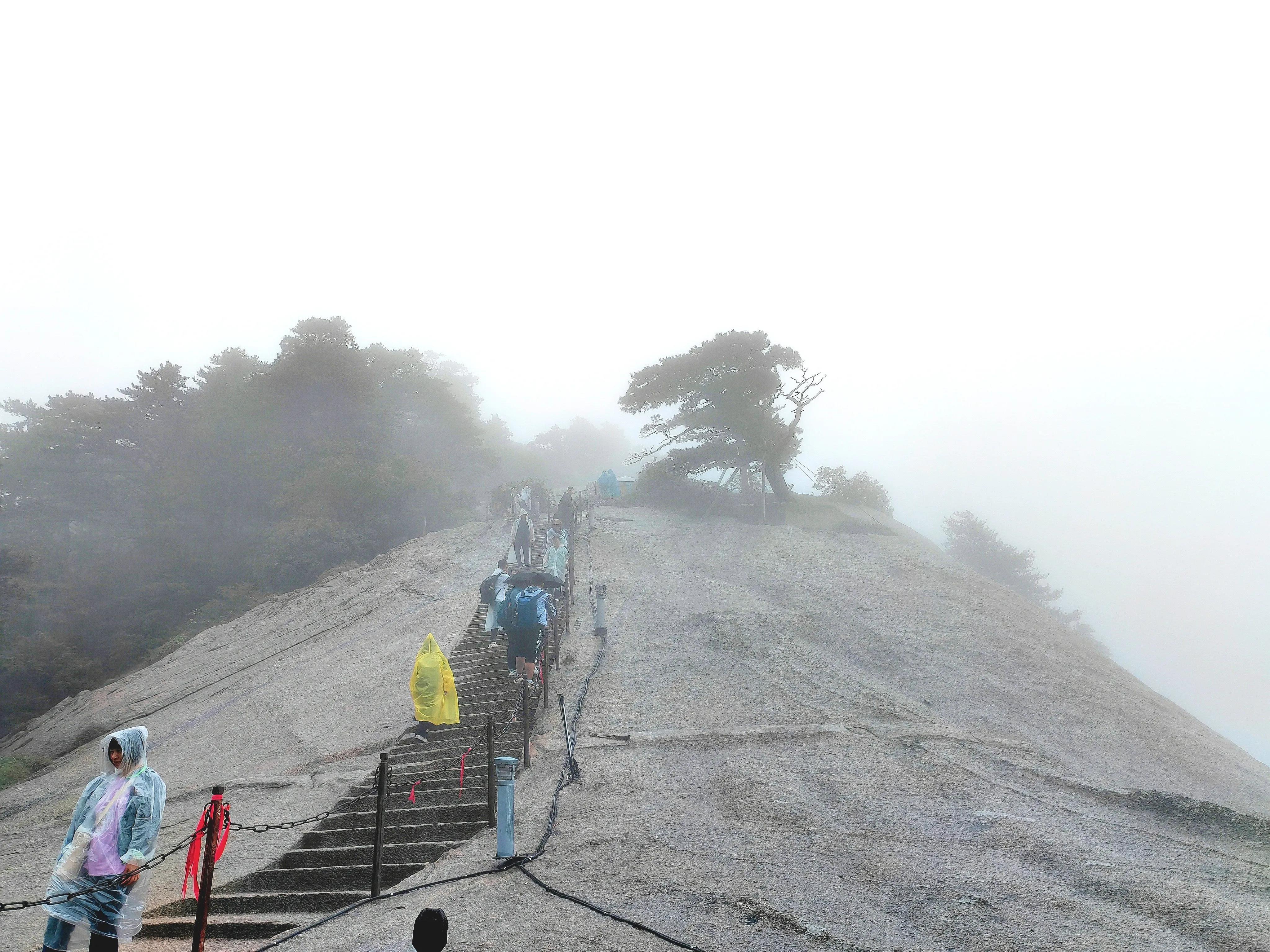 华山在哪个省_华山天气_华山在哪里