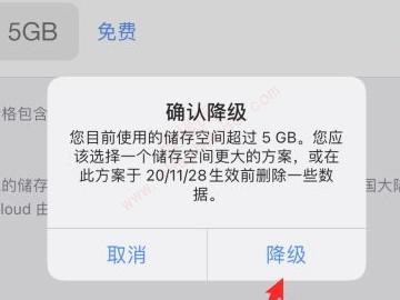 苹果怎么取消icloud自动续费6元-图7