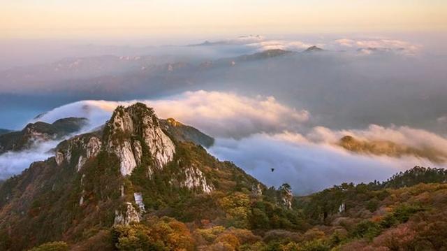 老君山在哪里_白云山的红叶美还是老君山美_老君山风景区在哪里