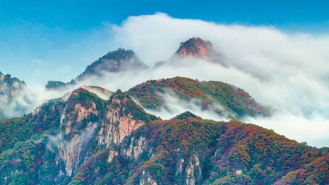 老君山在哪里_白云山的红叶美还是老君山美_老君山风景区在哪里