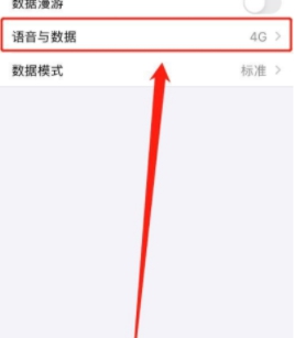 iphone 12怎么关闭5g网络-图4