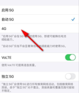 iphone 12怎么关闭5g网络-图5