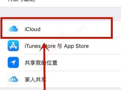 苹果手机怎么关闭icloud同步-图3