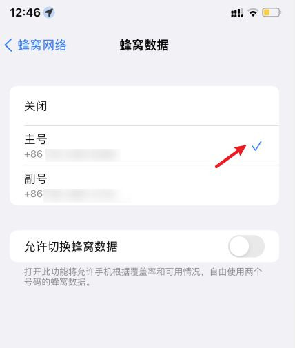 ios15怎么使用apn接入点-图3