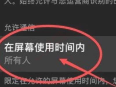 苹果12怎么设置骚扰电话拦截?-图3