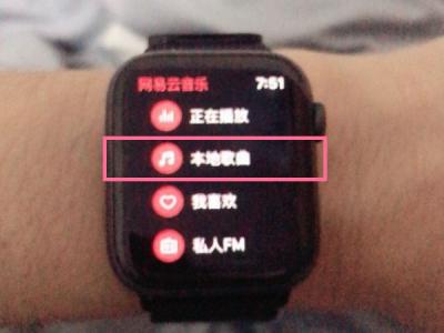 iwatch怎么单独放网易云音乐-图1