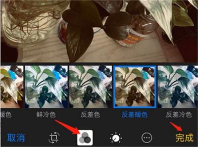 苹果手机怎么给照片添加滤镜-图3