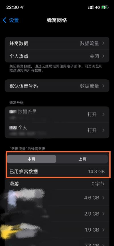 苹果手机如何查看流量数据-图2