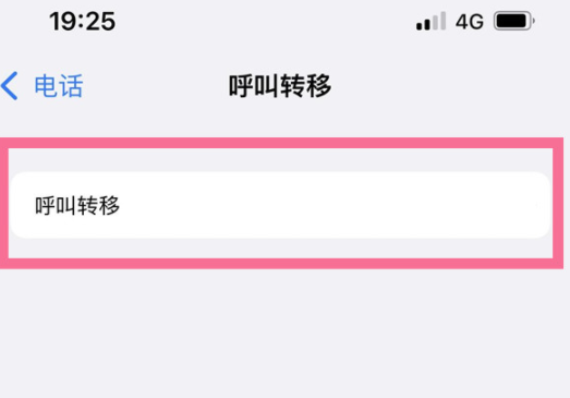 iPhone13呼叫转移在哪开启-图2