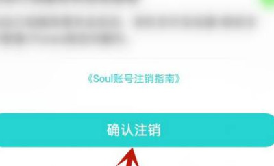 soul注销期间别人知道吗-图1