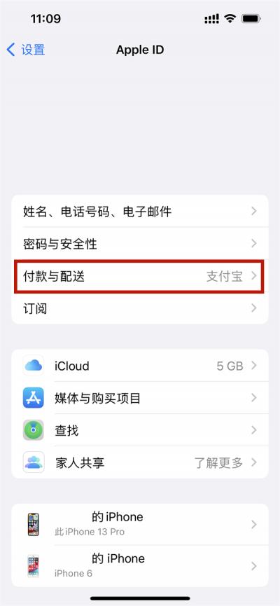 Apple在哪开启微信免密支付-图2