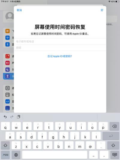 ipad怎么开启青少年模式-图6