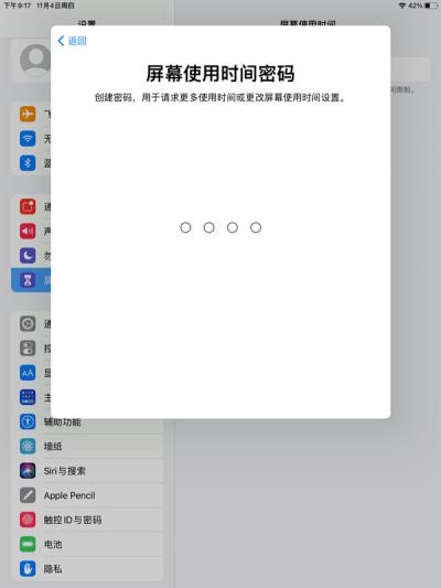 ipad怎么开启青少年模式-图5