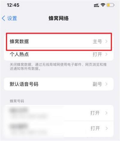 苹果13怎么打开双卡设置-图2