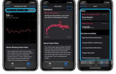 Applewatch6如何查看心率记录-图3