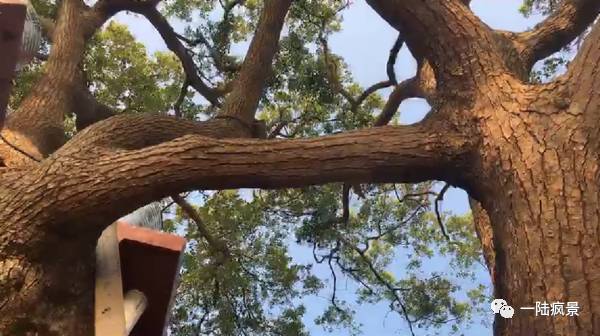 金山寺景点介绍_金山寺门票多少钱_金山寺在哪里