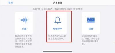 iPhone13ProMax如何设置来电铃声-图4