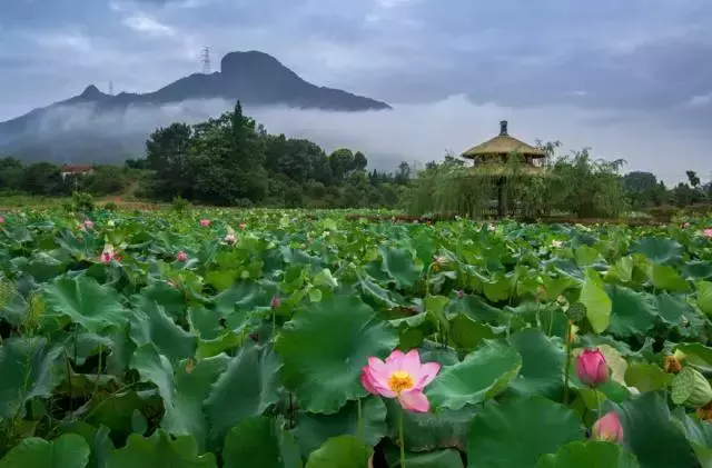 金华好玩的旅游景点_金华有什么好玩的地方旅游景点_金华内的旅游景点